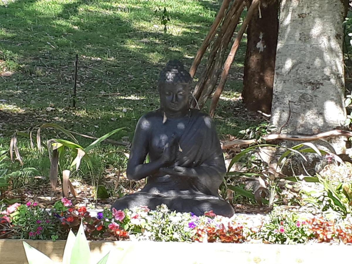 Mapleton Peaceful Provence Bnb Kültér fotó